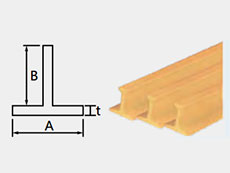 T Beam